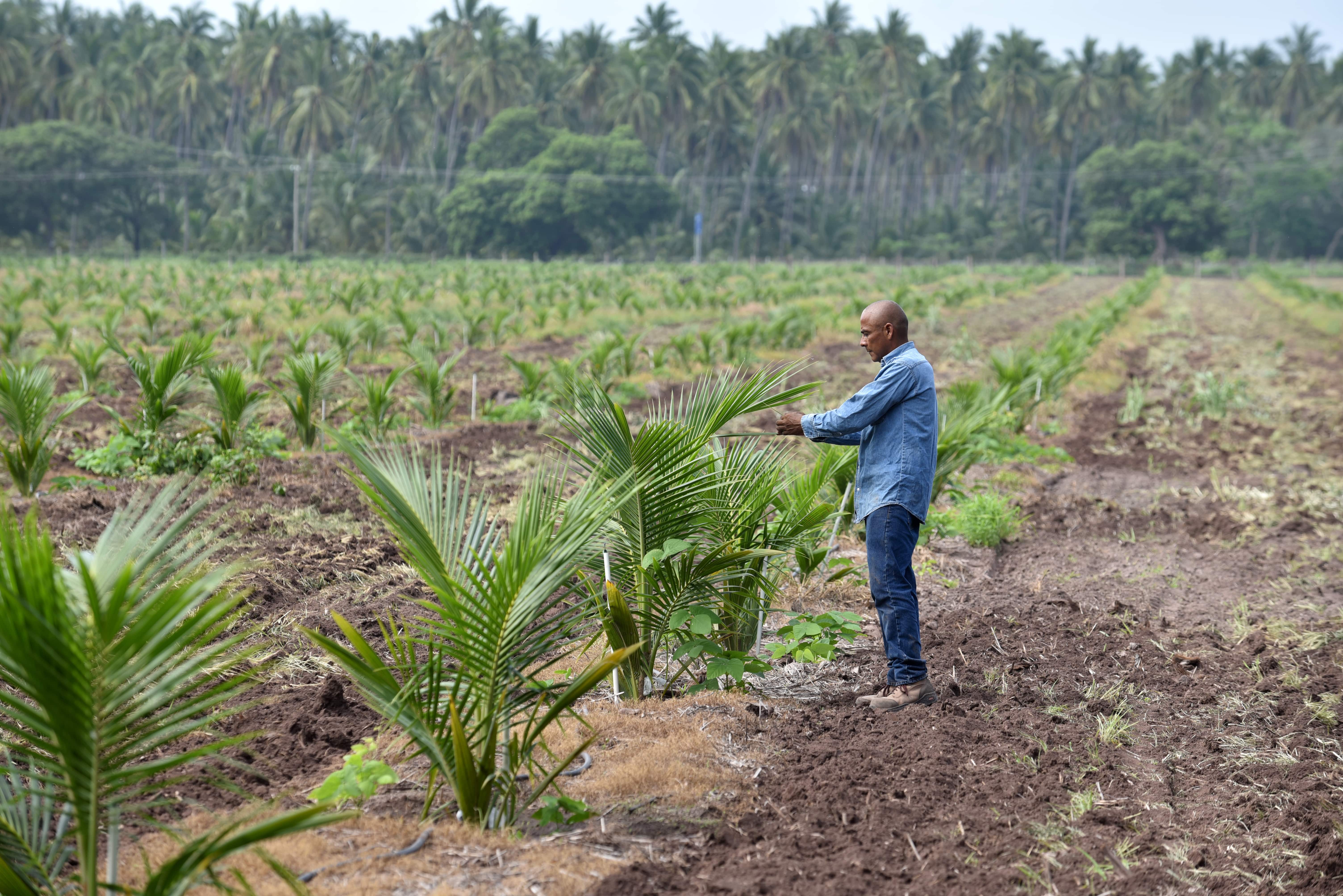 Error al cargar imagen